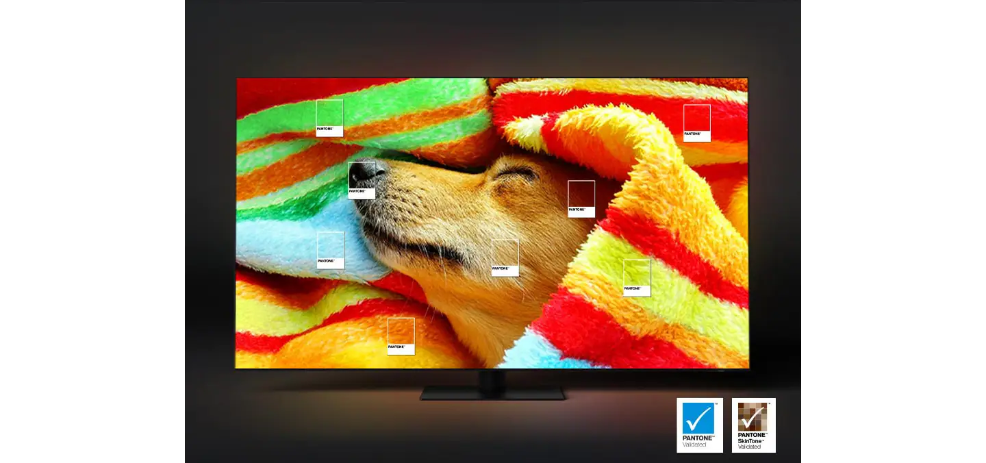 Pristen barvni zaslon, ki ga je potrdil PANTONE, prikazuje psa pod pisano brisačo