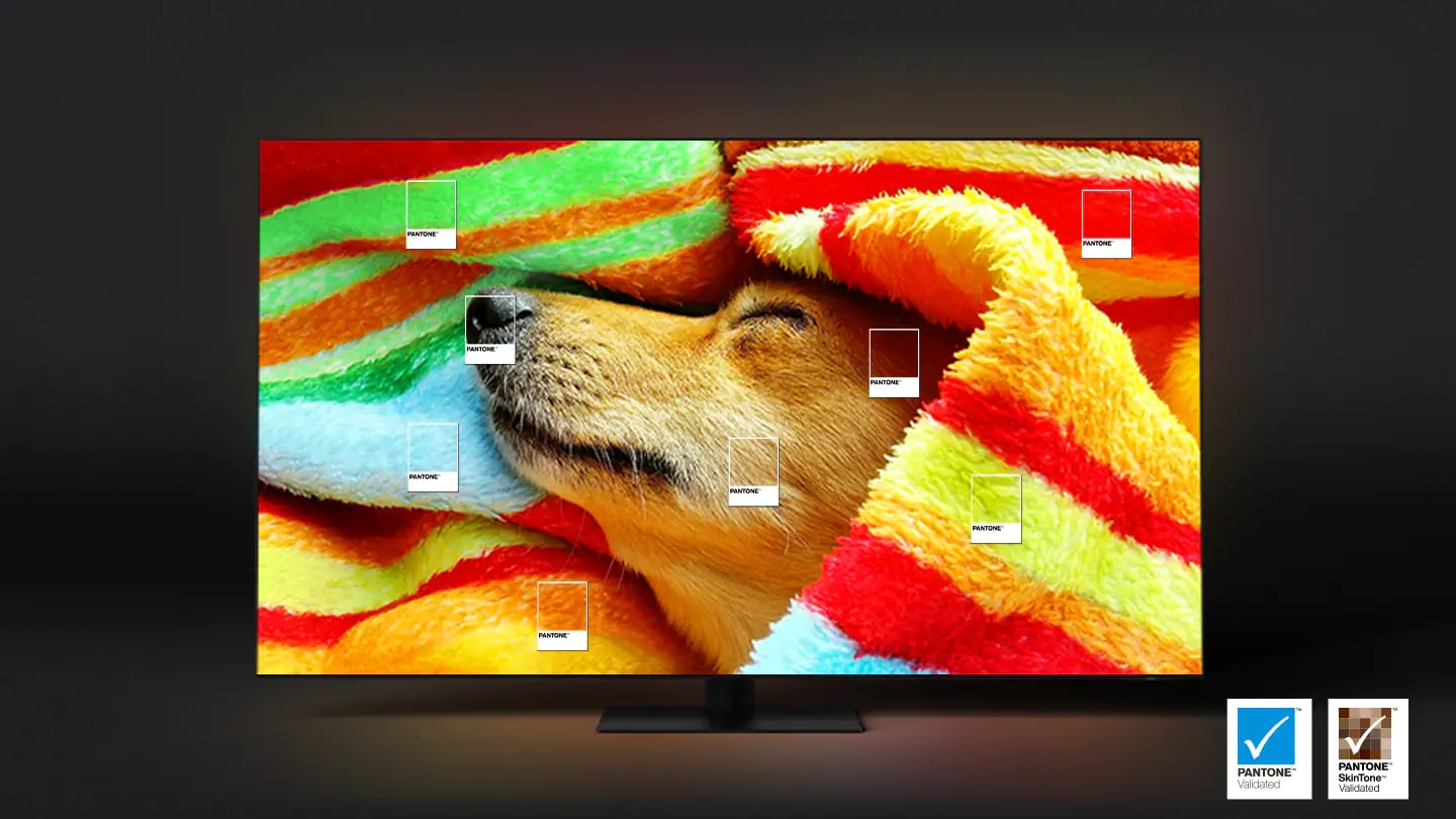 Authentic color display validated by PANTONE shows dog under a colourful towel