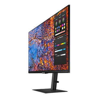 ViewFinity S8 S80PB 4K UHD IPS Monitor R-Dynamic Black 