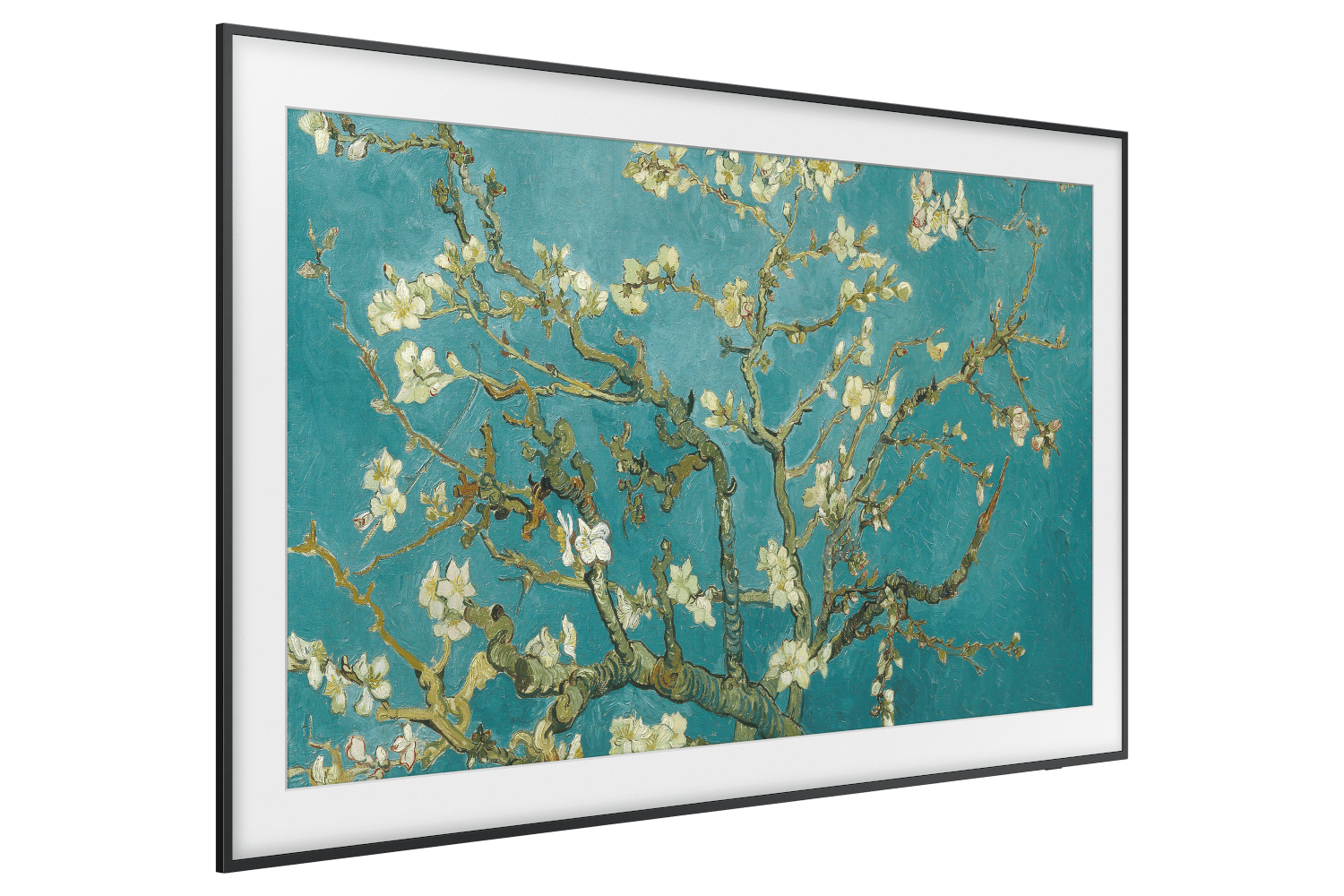 l-perspective3 Black