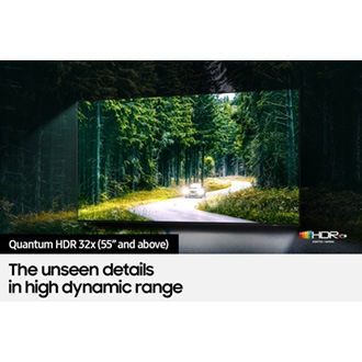 Neo QLED QN90B with Quantum HDR 32X (55" and above) can help discover fine details in picture