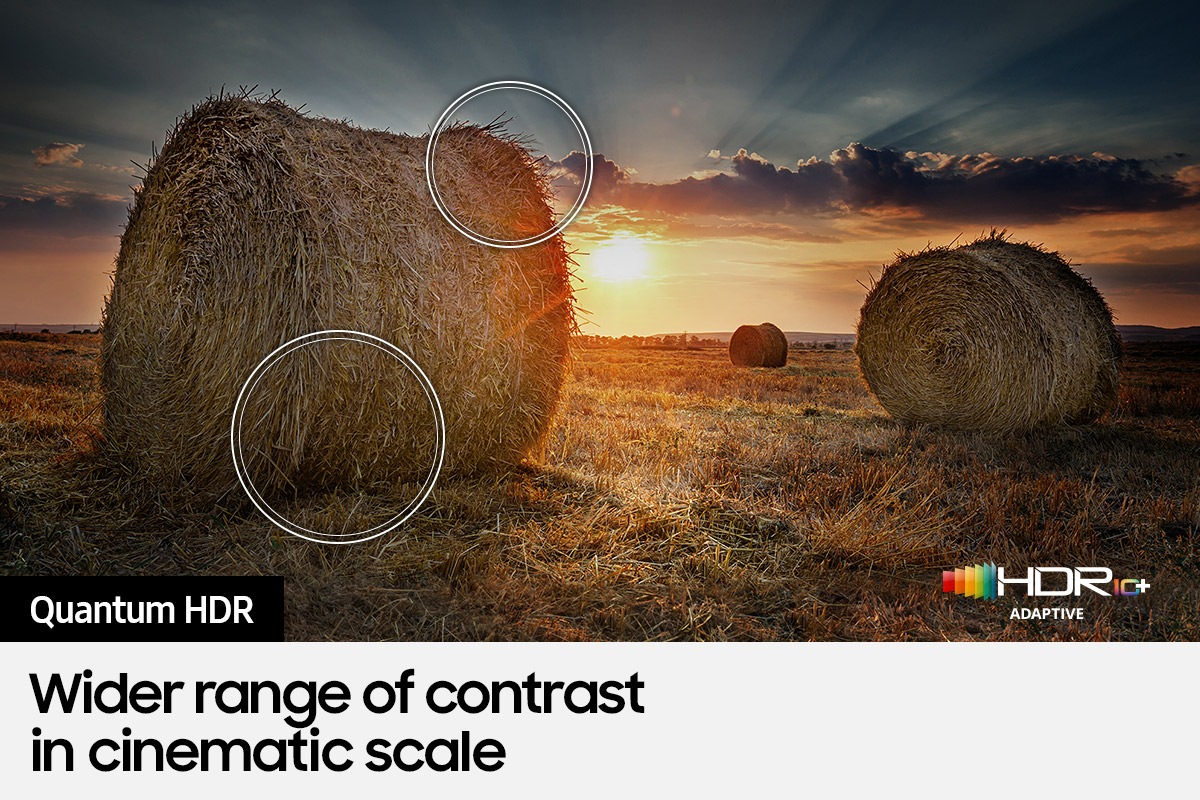 QLED Q60B with Quantum HDR helps discover fine details in picture