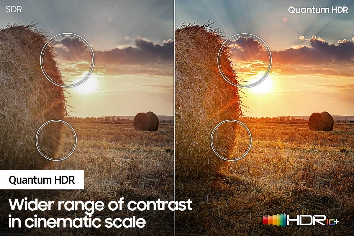 QLED TV Q60A is showing the SDR and Quantuam HDR to compare fine details