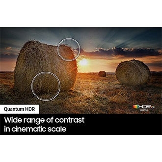 QLED TV Q60C with Quantum HDR can help discover fine details in picture.