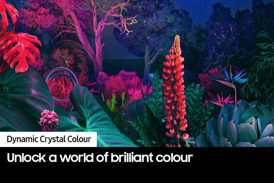 Dynamic Crystal Colour help makes the scene glow in vivid colour.