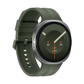 Galaxy Watch9 (LTE, 44 mm) L-Perspective Silver 