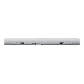 back Light Gray