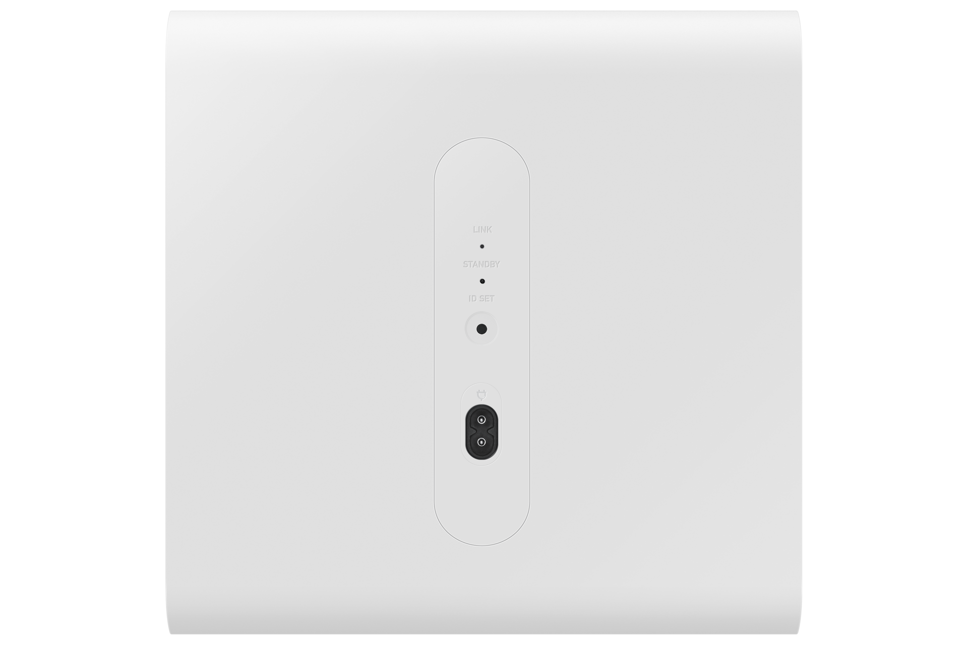 back White