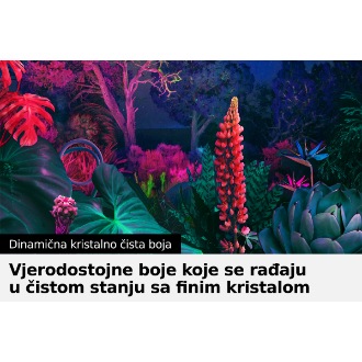 Crystal UHD TV BU8000 z dinamičnimi jasnimi barvami zagotavlja celoten spekter barv