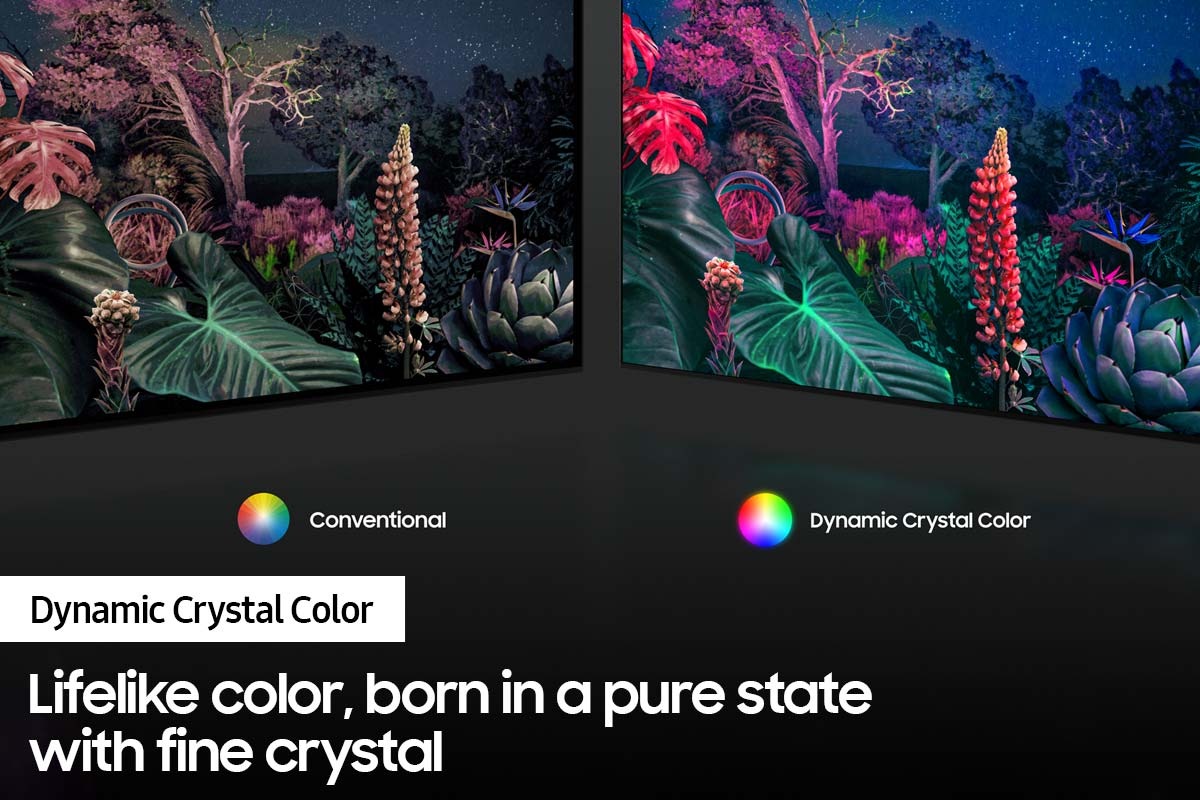 dynamic3 Black