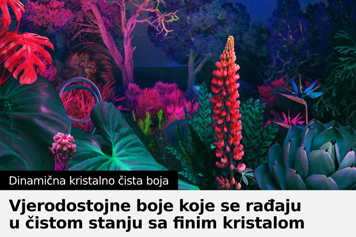 Crystal UHD TV BU8000 z dinamičnimi jasnimi barvami zagotavlja celoten spekter barv