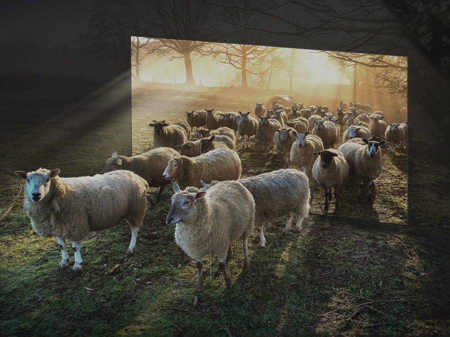 Sheep are coming out from a TV into a forest that has dull light contrast and overall dull colors.