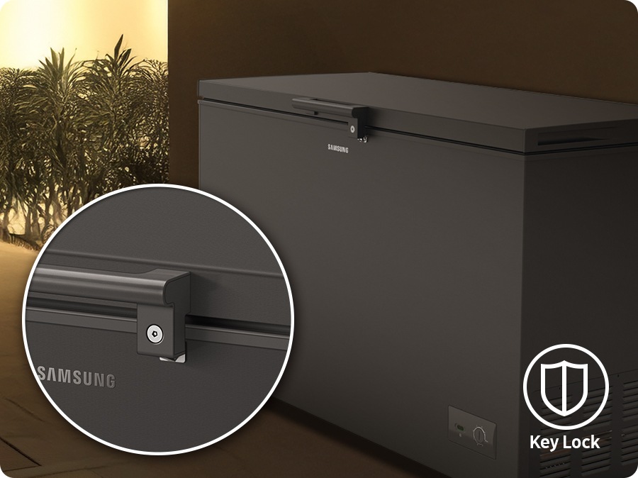 Close-up of the Key Lock on the refrigerator door. The icon in the bottom right corner indicates the Key Lock feature.
