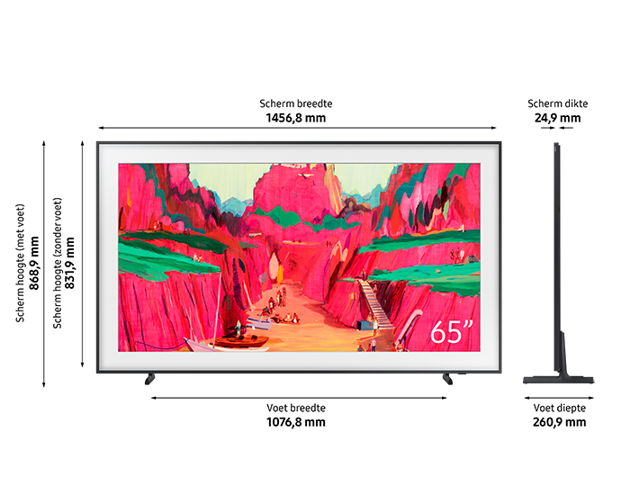 Dimensions The Frame Pro 65 inch