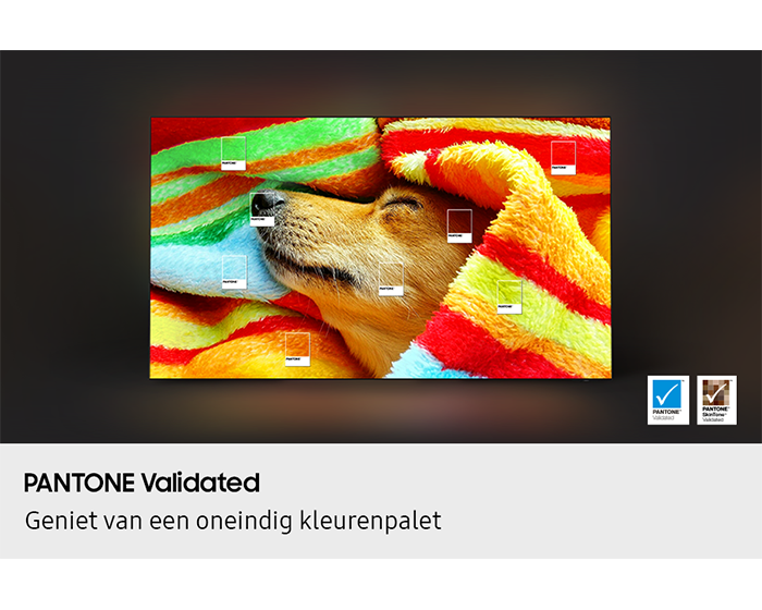 [QÉ77S85F~ÁÉXX~Ñ] 