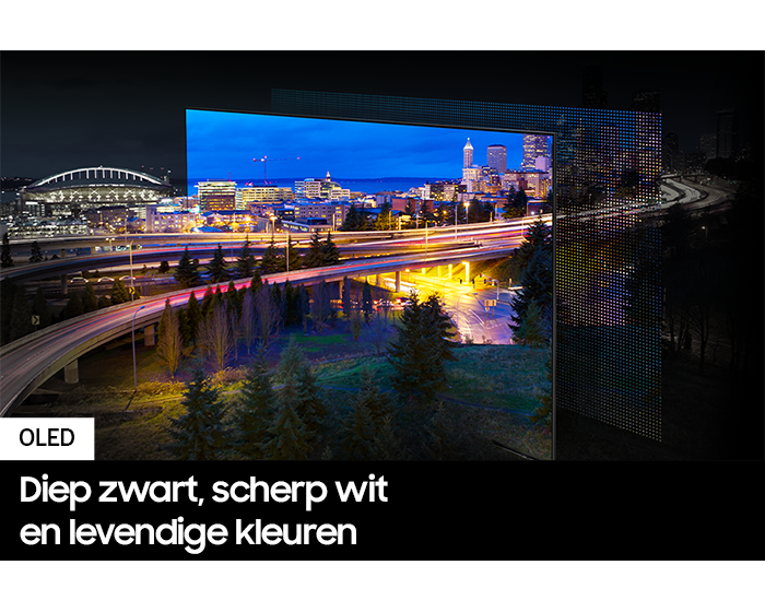 QE55S90DAEXXN 