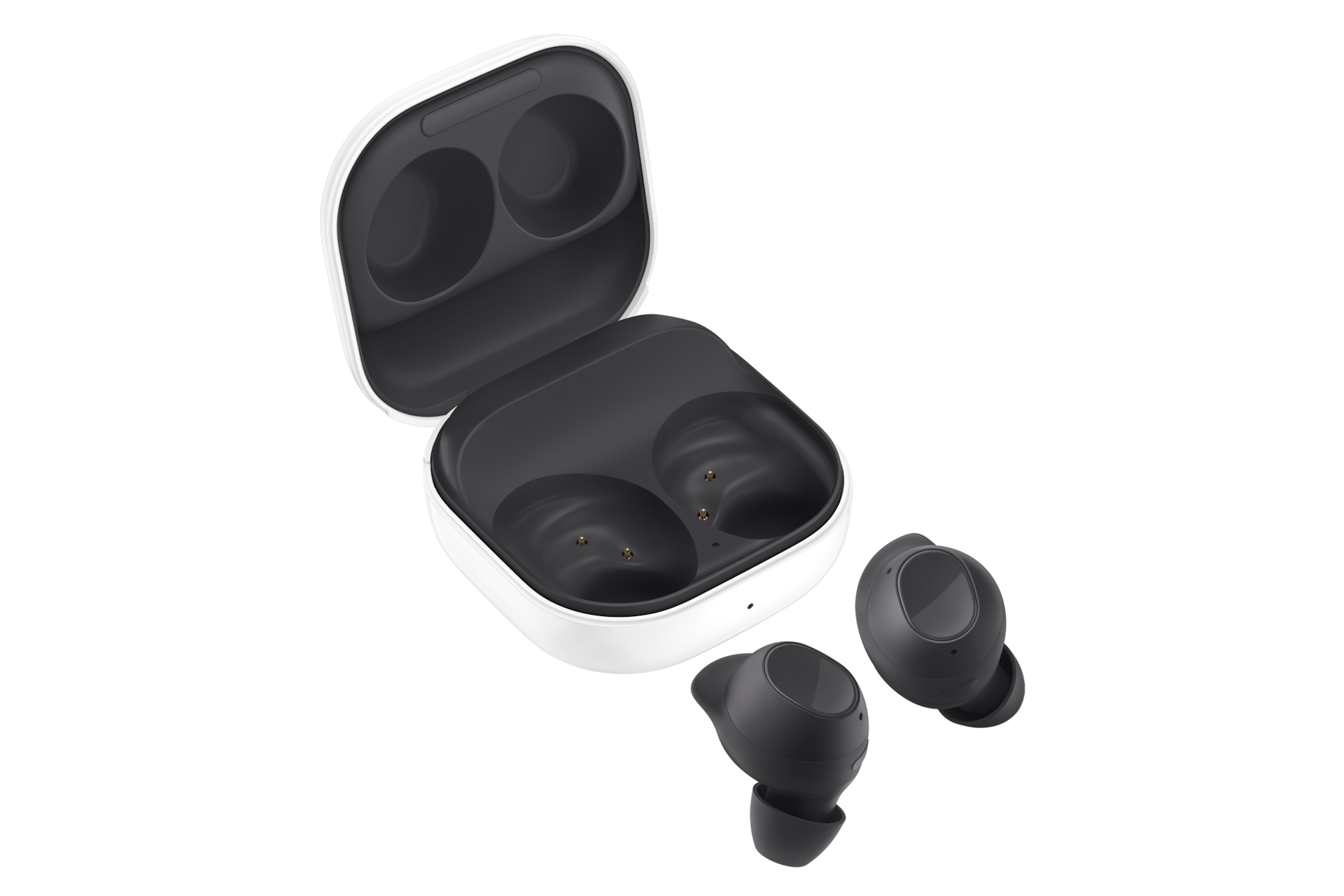 case-dynamic Graphite