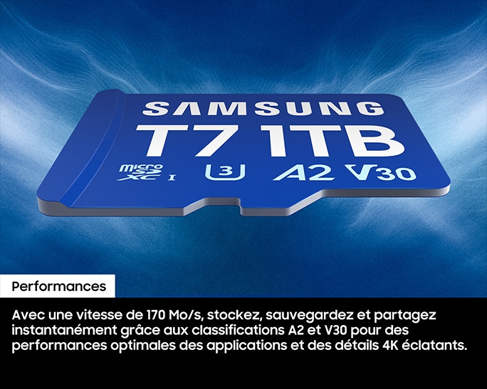 T7 microSDHC™ UHS-I Card 1TB Blue