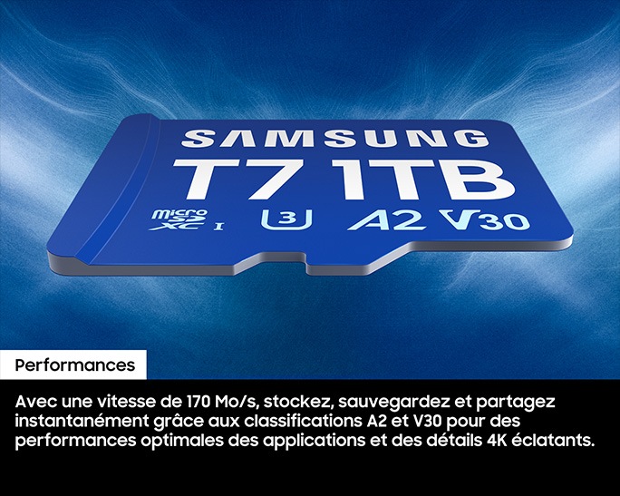 T7 microSDHC™ UHS-I Card 256GB Blue