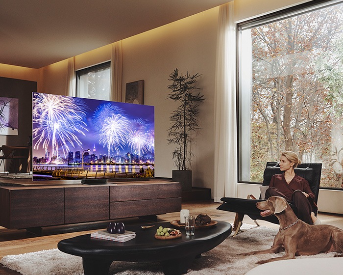 [QÉ65QÑ~900BTXX~Ñ] 