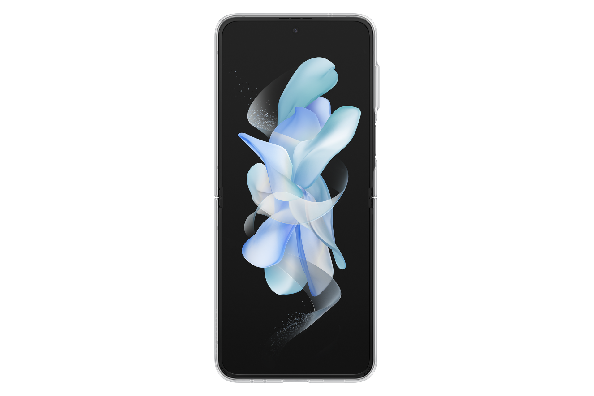 back Transparent