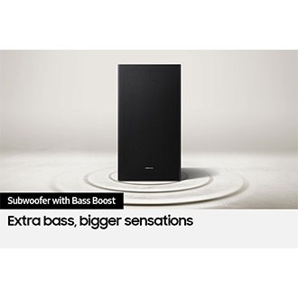 HW-B650D/EN 