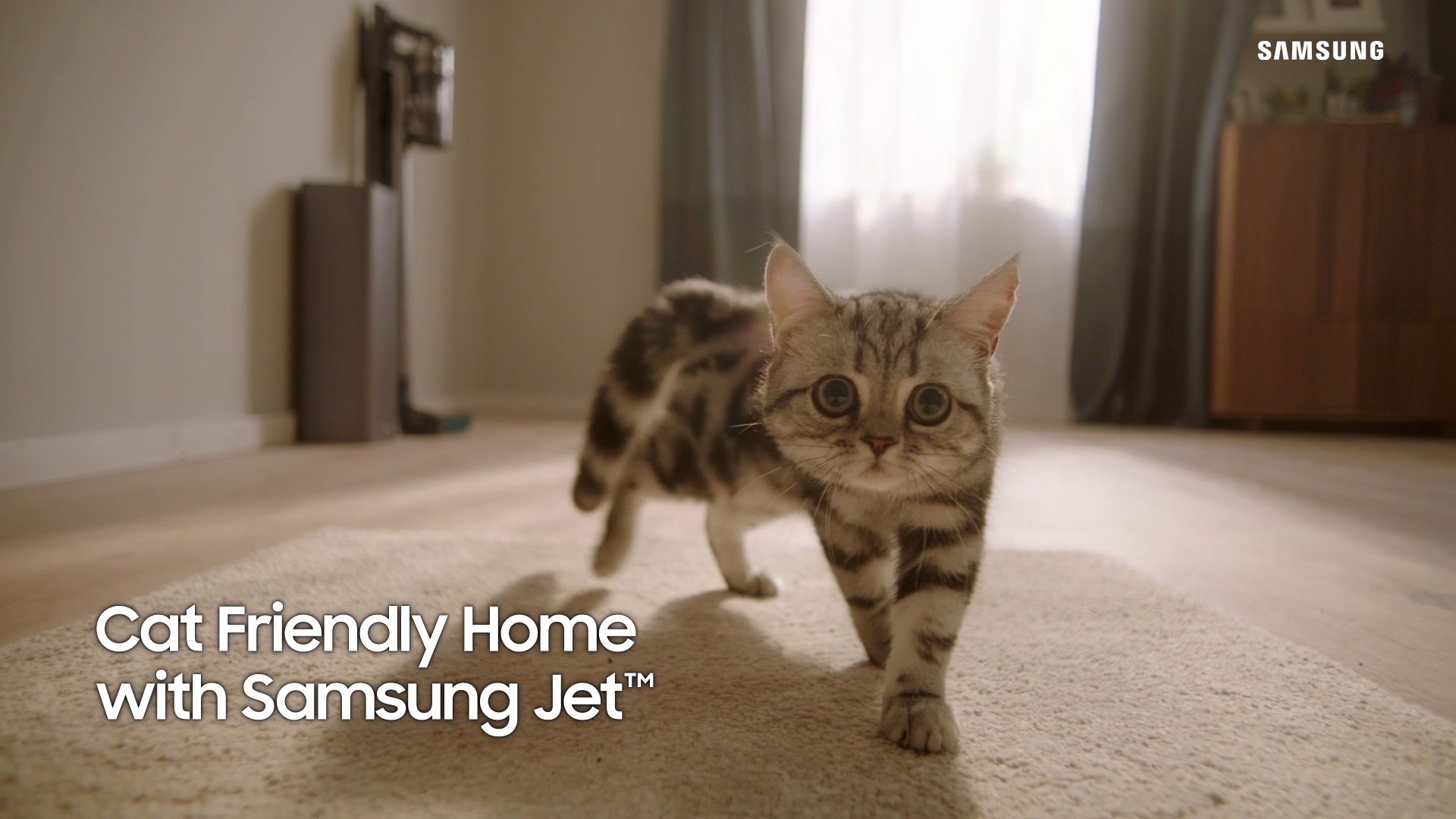 VC_Cat friendly home_PMV_30s_Full video_thumbail