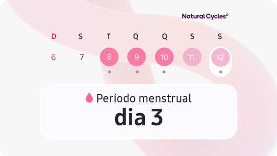 Monitor de Ciclo