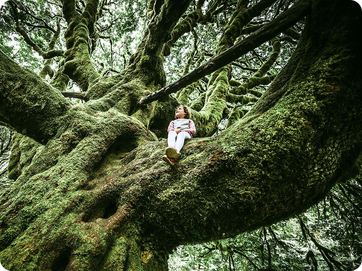 Uma menina sentada em uma grande árvore coberta de musgo. Com a câmera ultragrande-angular, você pode ver mais da árvore e do cenário ao seu redor.