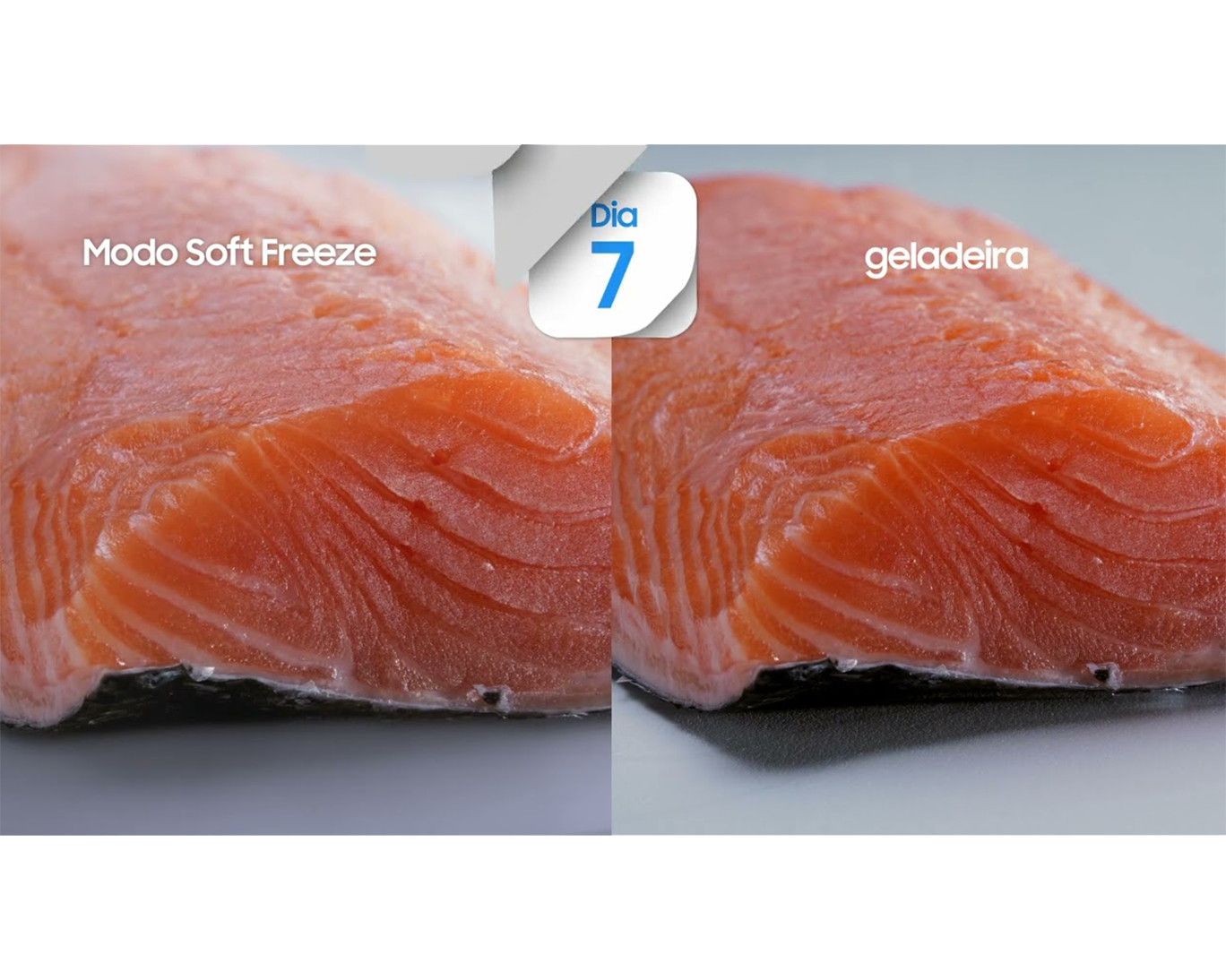 Novas geladeiras Evolution™ Duplex