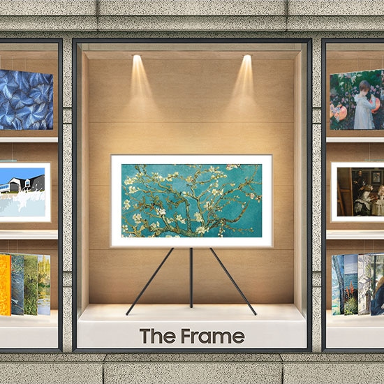 43” The Frame Samsung | Mode Canada LS03B Art