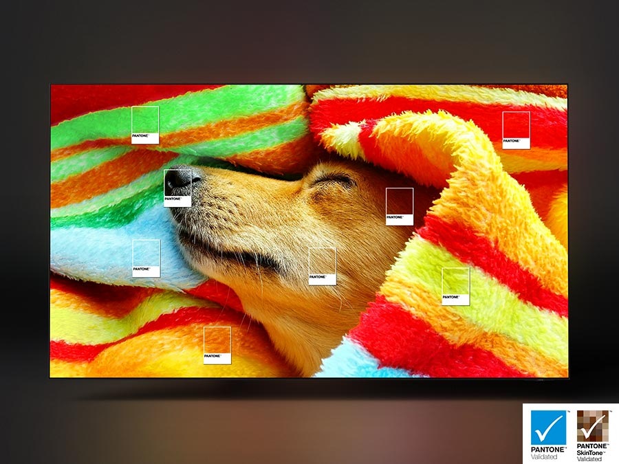 A dog wrapped around a colorful blanket is on display.