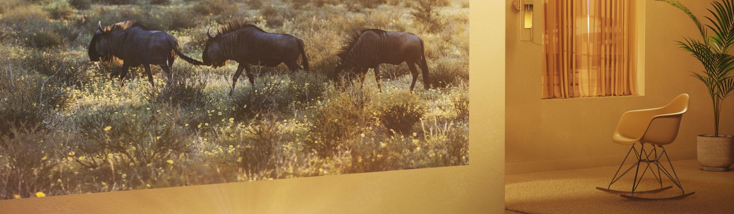 The Premiere projects a scenic outdoor image of wild animals onto the wall of a living room.