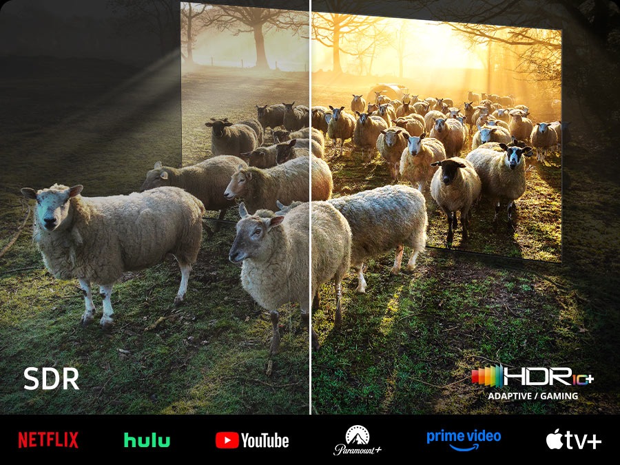 Sheep are coming out from a Neo QLED TV. There is a comparison between SDR and HDR 10+ ADAPTIVE/GAMING quality in colour and brightness.
