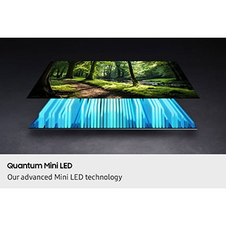 A TV backlight and screen are separated out, with the Mini LED backlight illuminating the screen to depict a vivid scene of a forest.