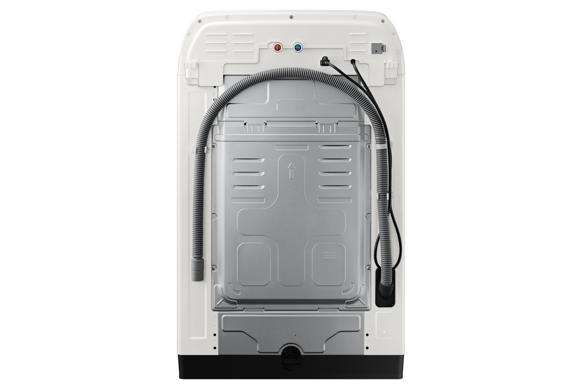 back Light Gray