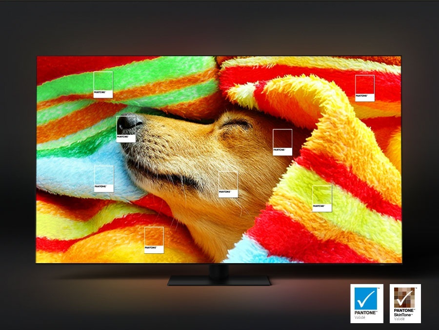 A dog wrapped around a colorful blanket is on display.
