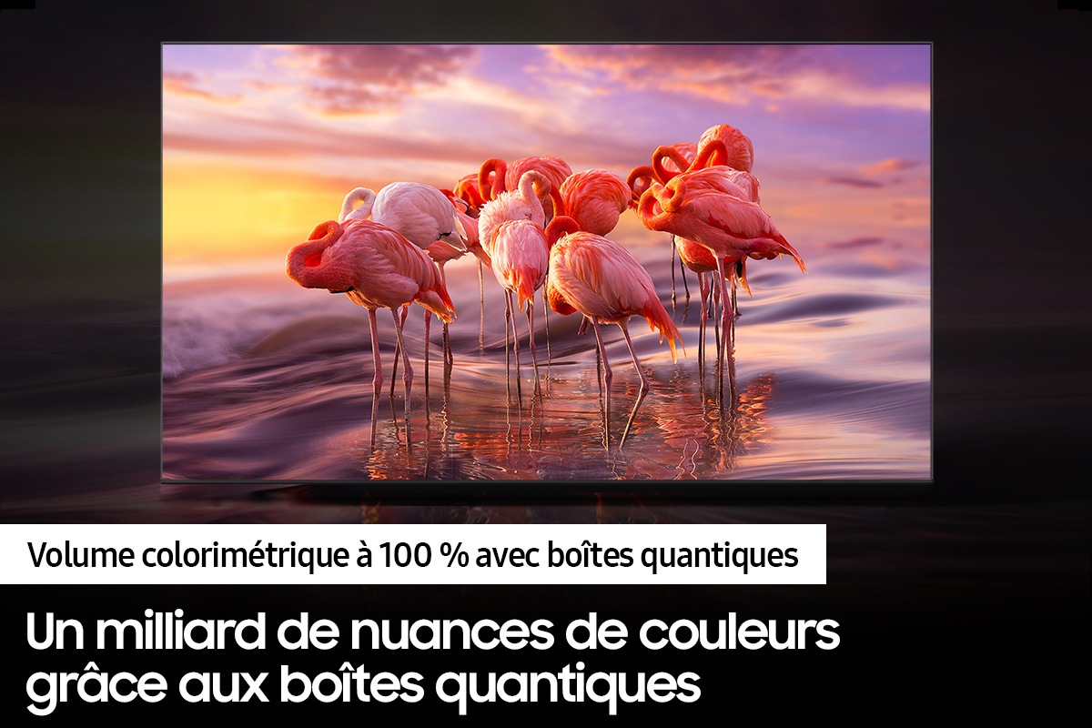 QN43Q60BAFXZC 