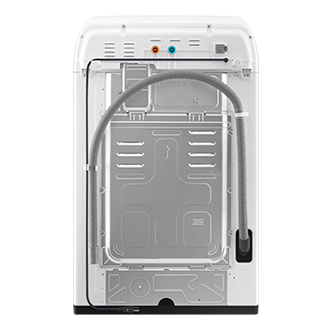 back White
