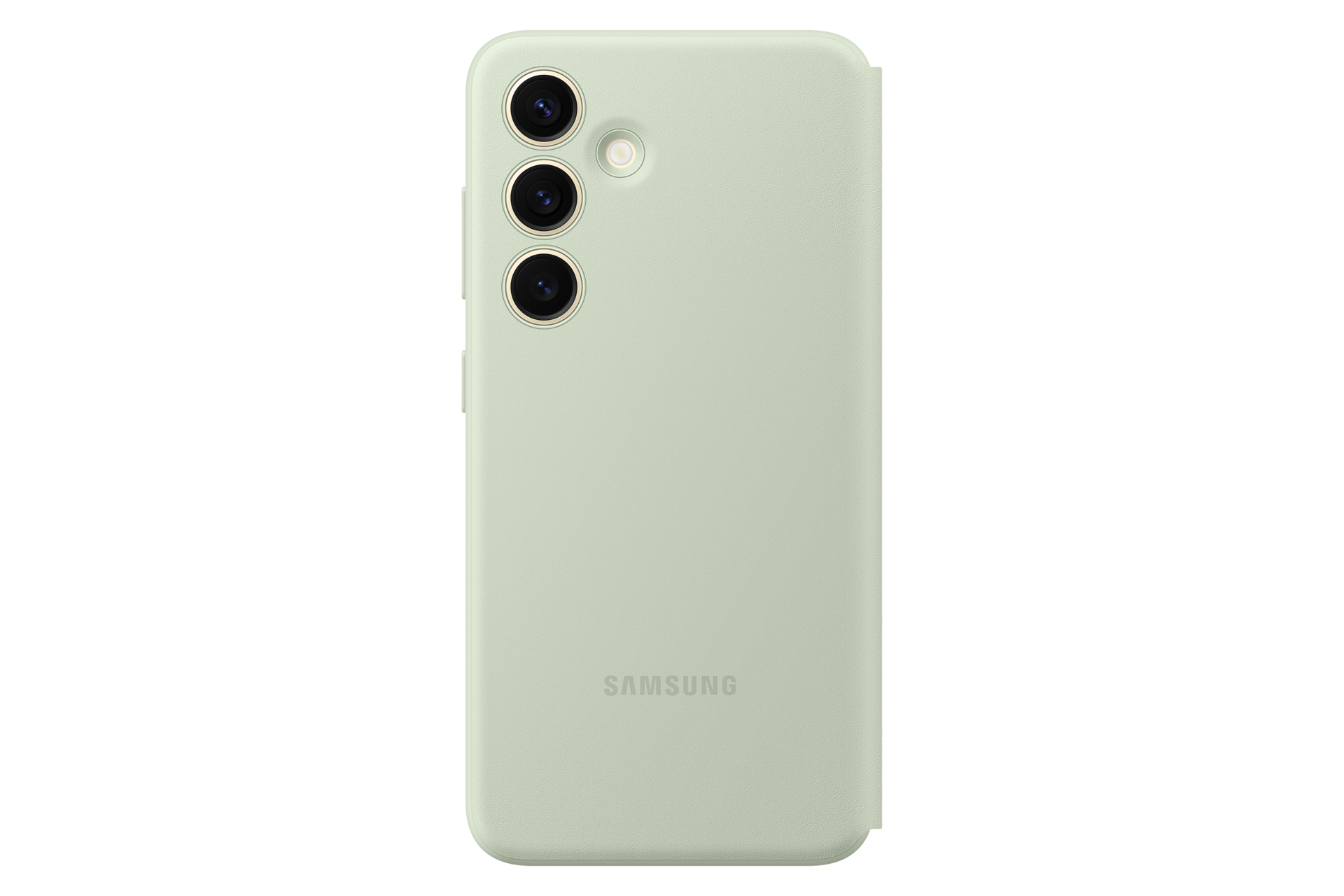 back Light Green