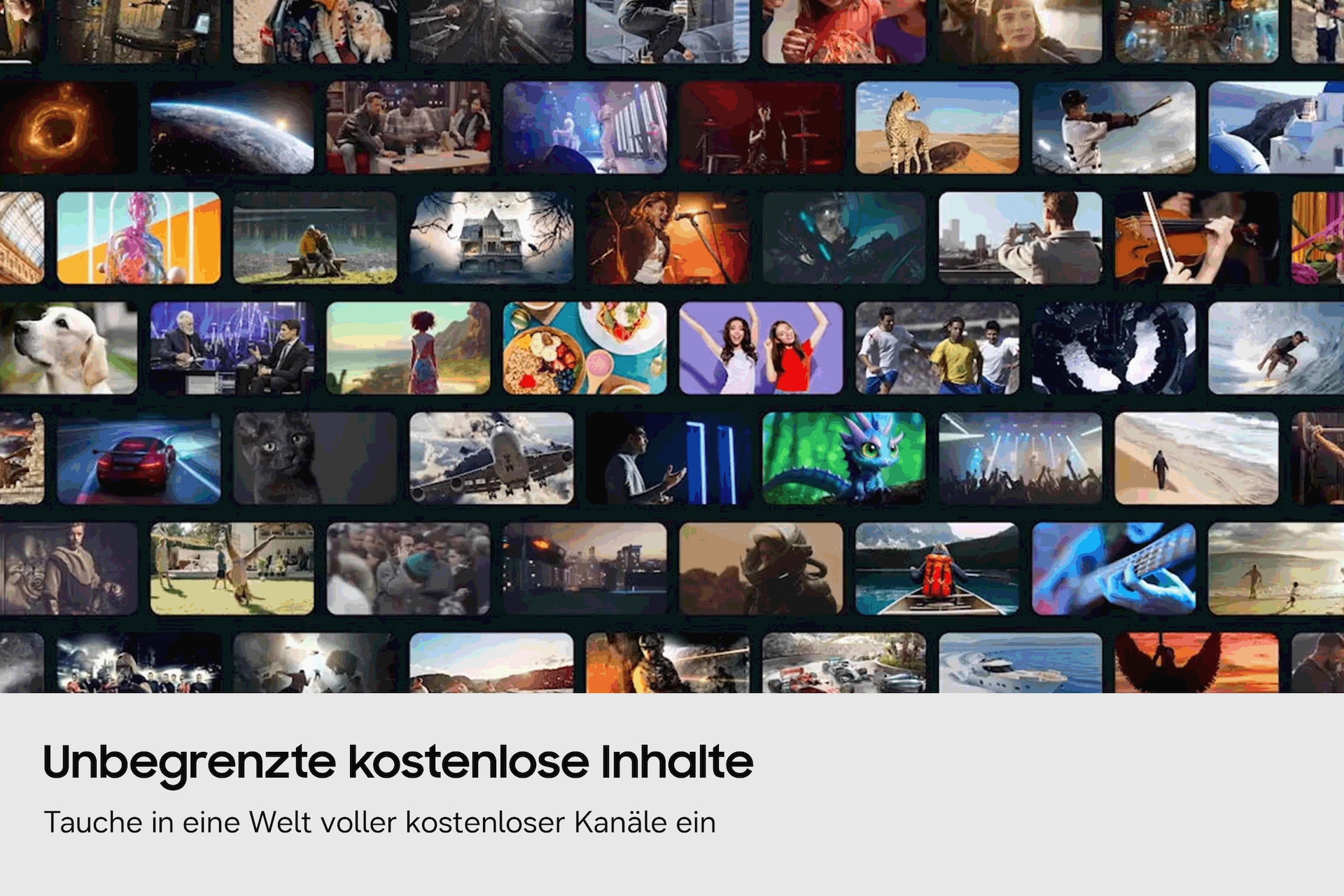 Eine Collage aus verschiedenen Unterhaltungsszenen, darunter Natur, Sport, Musik und Tiere.