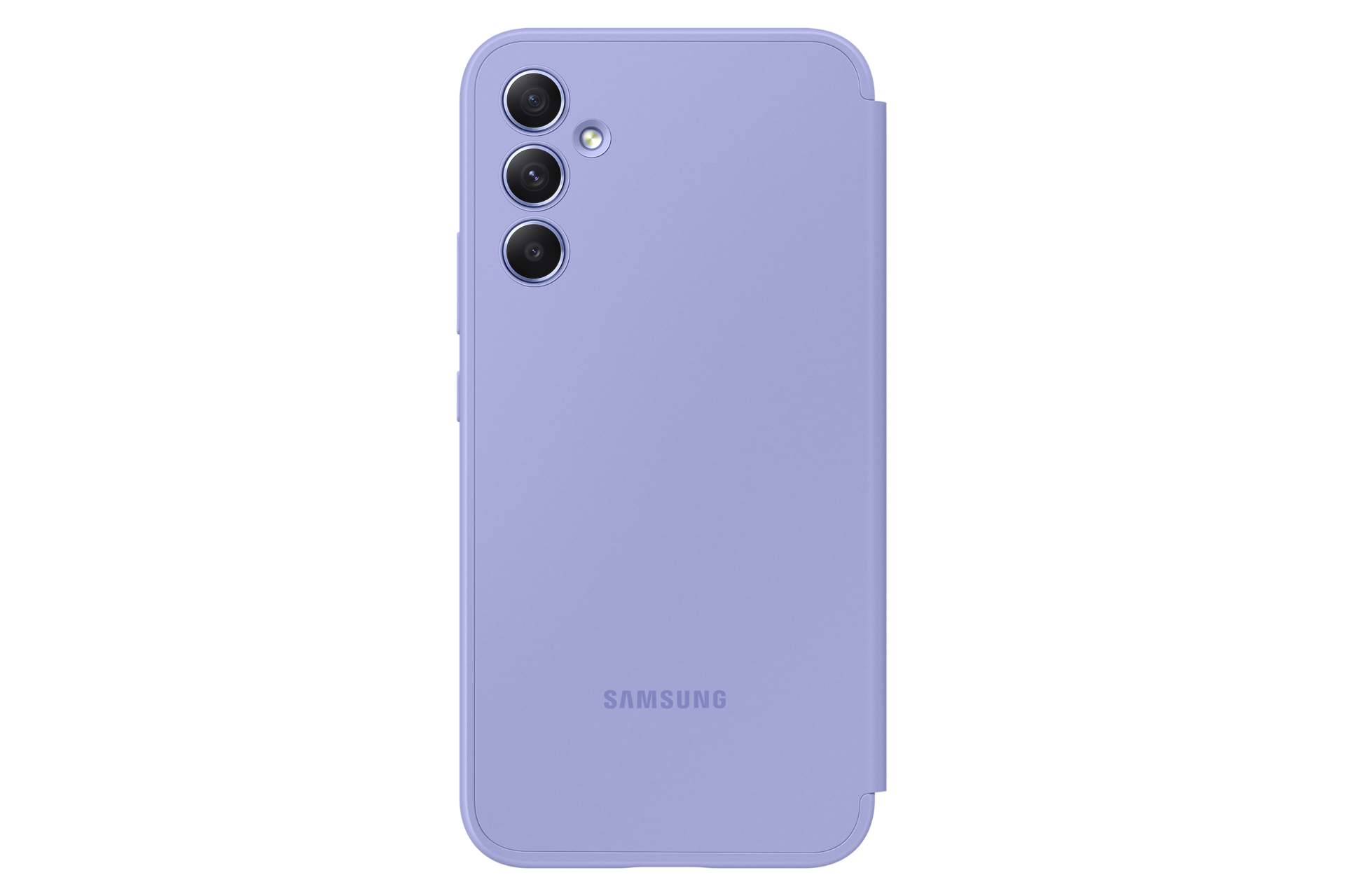 back Blueberry