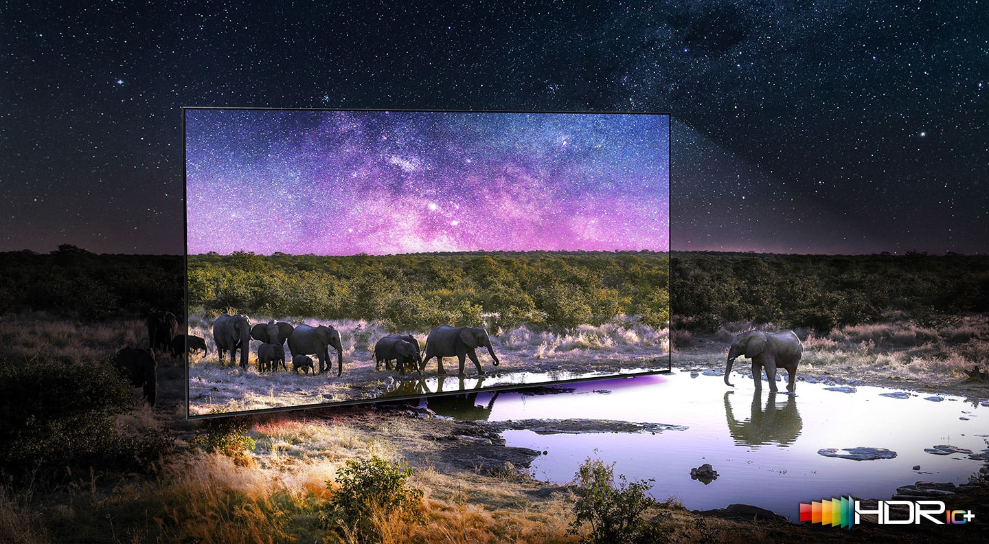 Elephants are walking around in a wide field surrounded by many stars and drinking water on the TV screen. QLED TV shows accurate representation of bright and dark colors by catching small details.