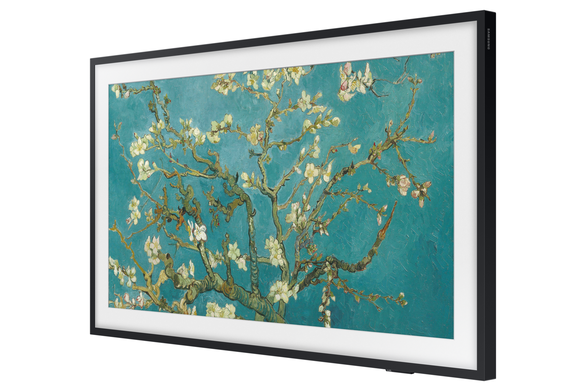 [r-pér~péct~ívé B~láck~]