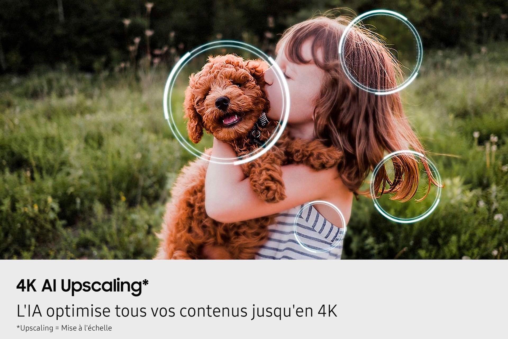 QE55S85FAUXZU