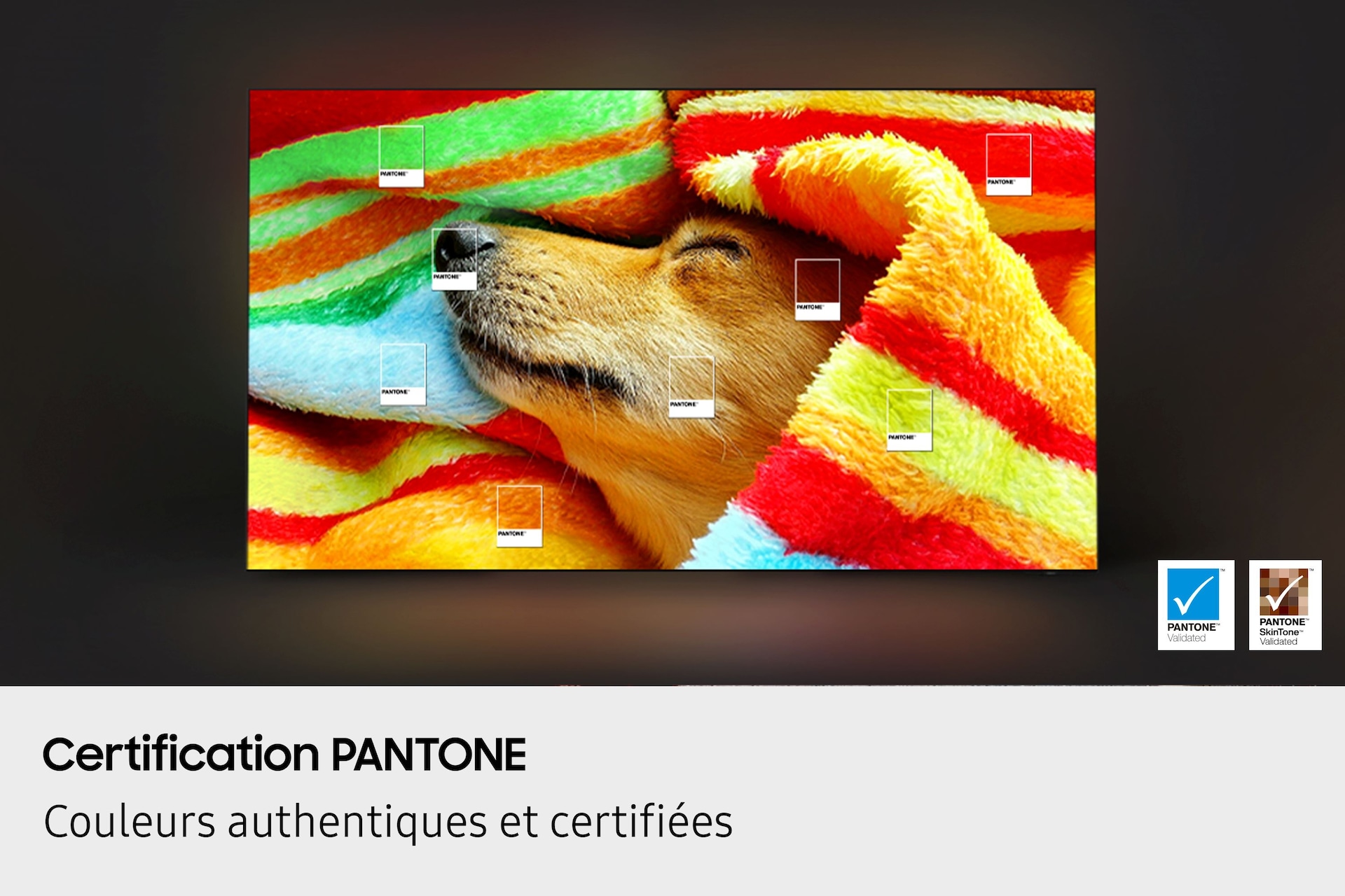 QE55S85FAUXZU