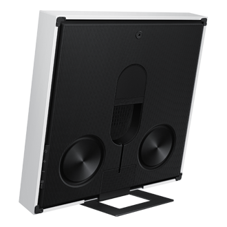 back-dynamic-with-stand White