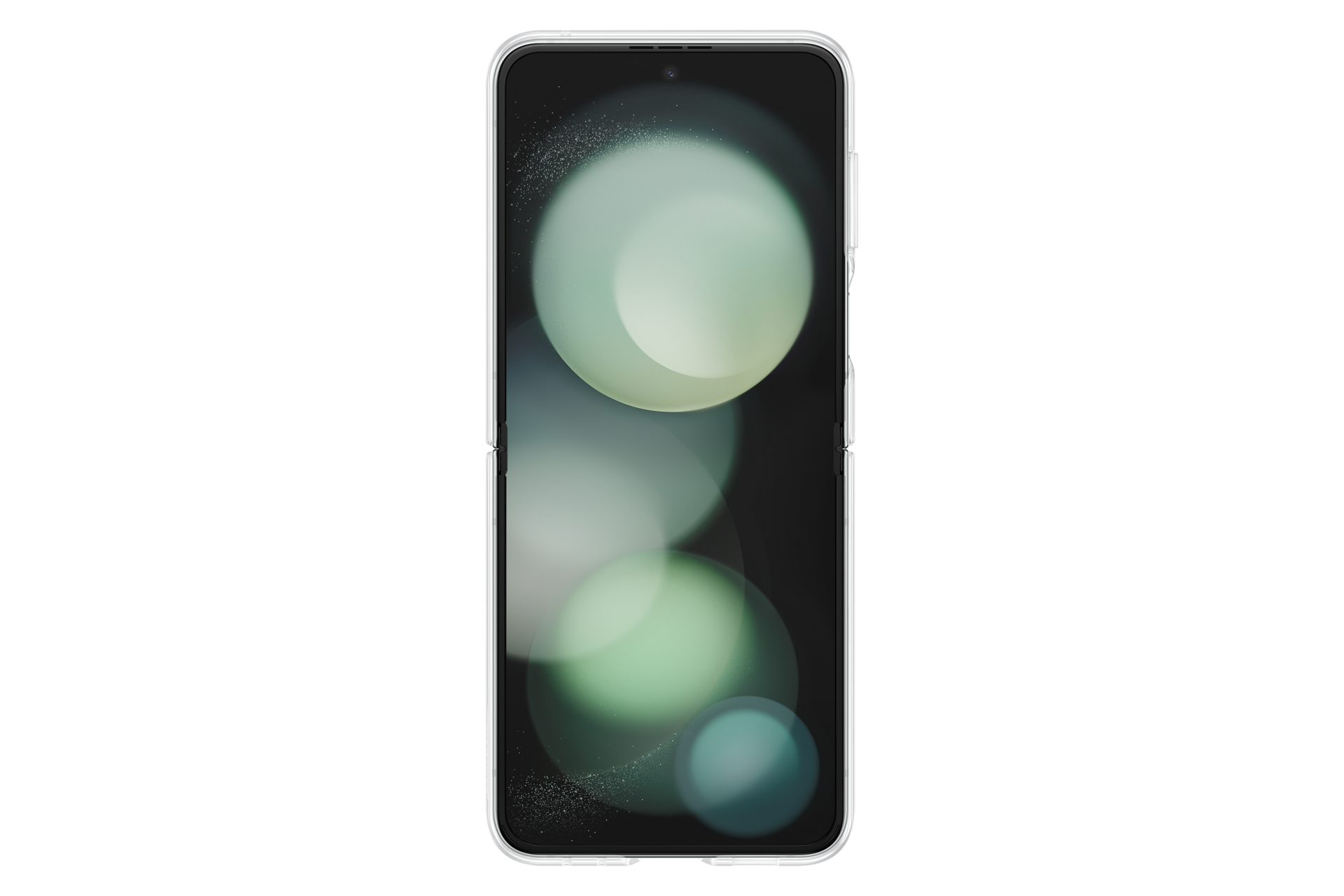 back Transparent