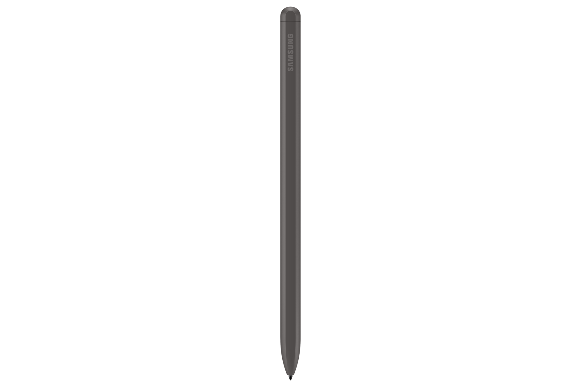 back Gray