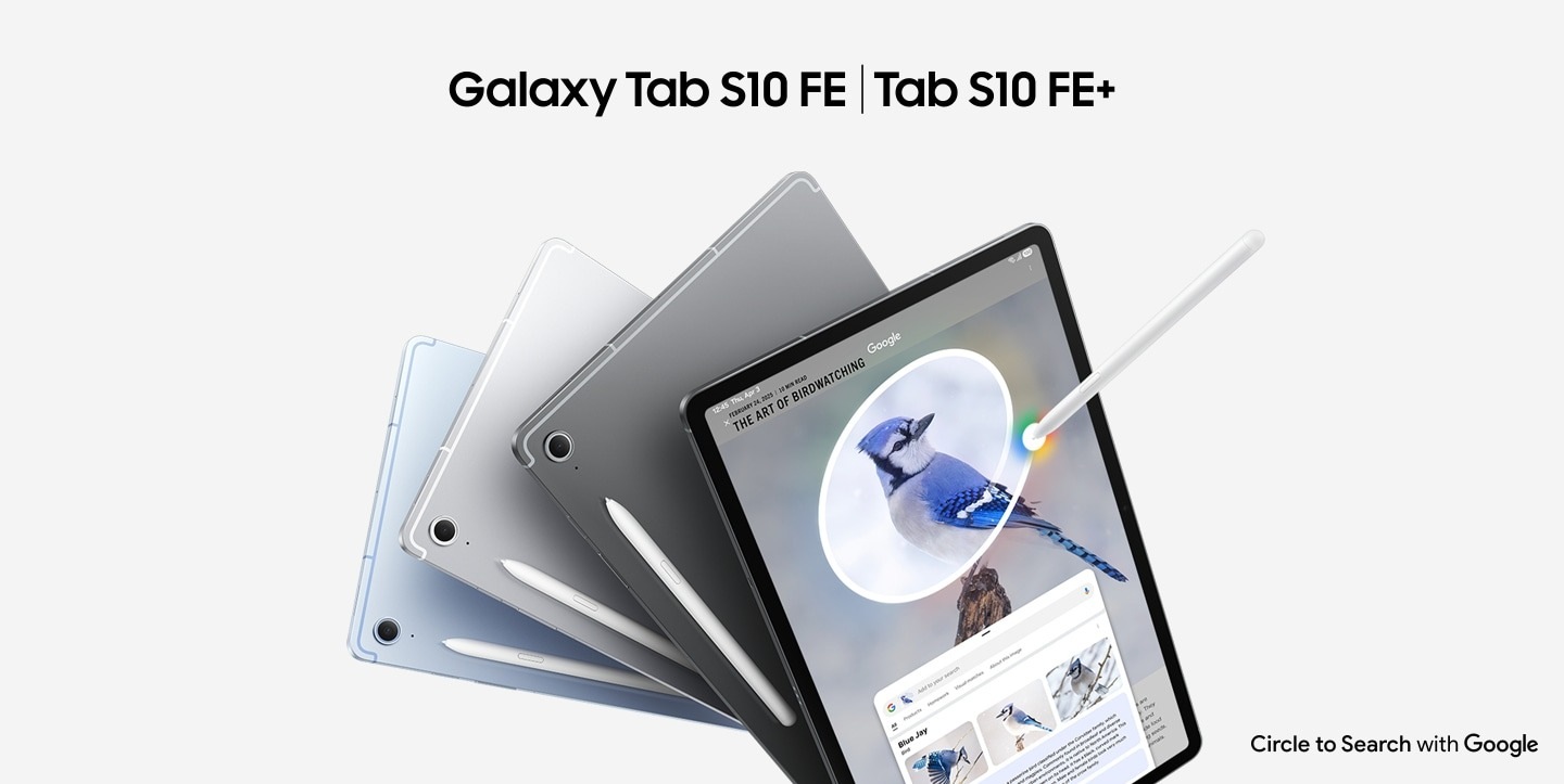 El texto dice “Galaxy Tab S10 FE” y “Tab S10 FE+”. Se muestran cuatro dispositivos Galaxy Tab S10 FE+, tres mostrados desde atrás y uno con la pantalla hacia adelante. Se usa Busca con un círculo con Google en la pantalla con S Pen en una imagen de un arrendajo azul. Los resultados de la búsqueda en Google muestran detalles sobre la imagen. Se muestra el logotipo de Busca con un círculo con Google.